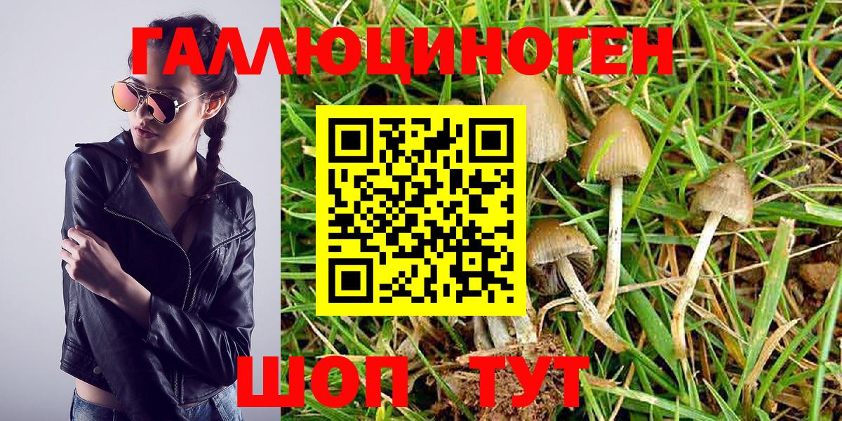 Псилоцибиновые грибы Magic Shrooms  Вход с VPN  Раменское  Галлюциногенные грибы мицелий 